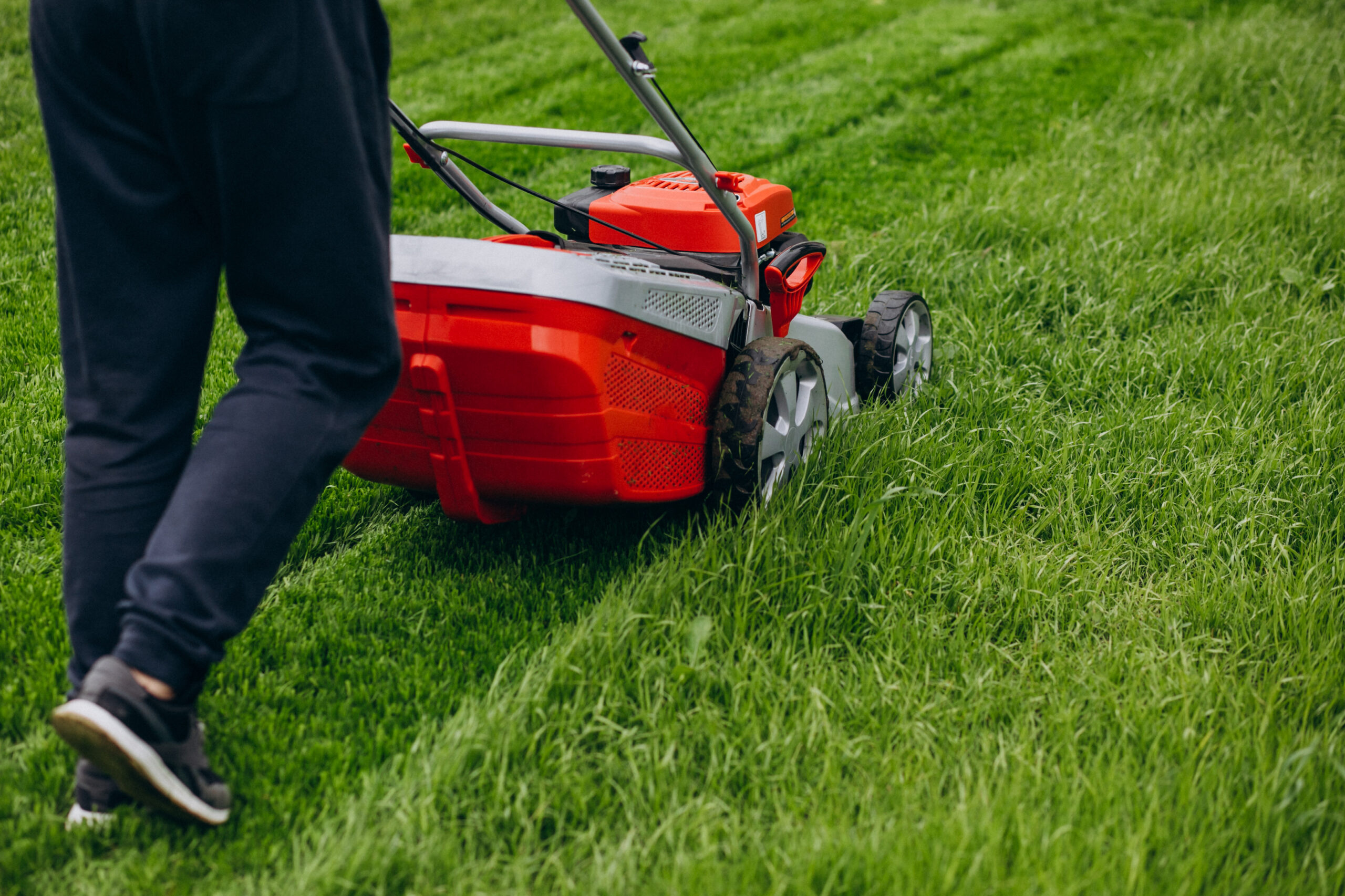 Top Landscaping Companies in Dubai
